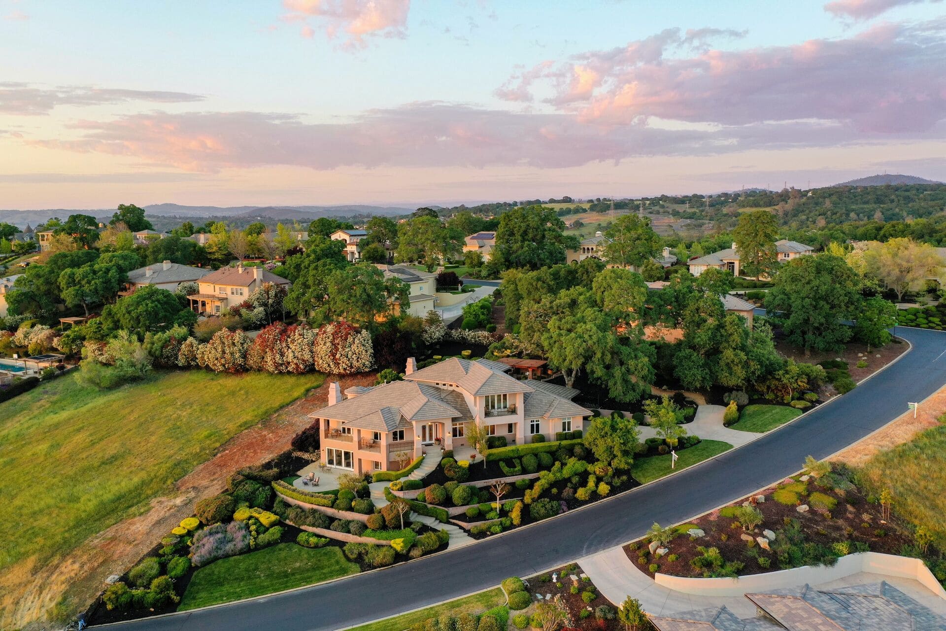 Suburban houses with lush gardens
